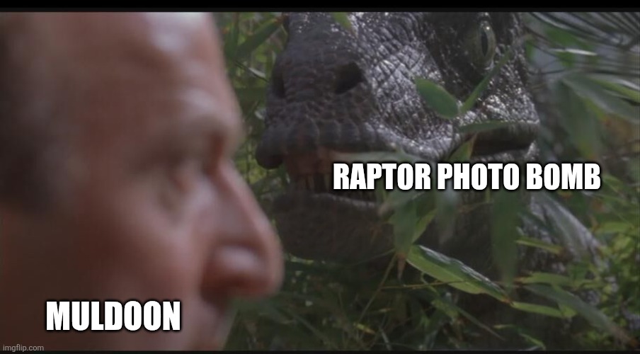 Raptor Photo bomb | RAPTOR PHOTO BOMB; MULDOON | image tagged in another jurassic park template,jurassic park,jpfan102504,funny,memes,humor | made w/ Imgflip meme maker