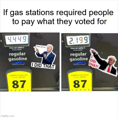 "You want somebody to hold your hand in the voting booth next time?" | If gas stations required people 
to pay what they voted for | made w/ Imgflip meme maker