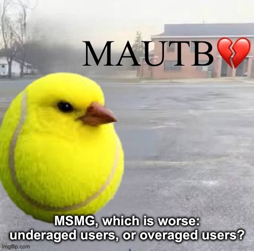 Mods Asleep, Upvote Tennis Bird | MSMG, which is worse: underaged users, or overaged users? | image tagged in mods asleep upvote tennis bird | made w/ Imgflip meme maker