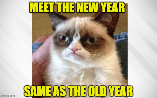 Happy New Year from Grumpy Cat | MEET THE NEW YEAR; SAME AS THE OLD YEAR | image tagged in grumpy cat,happy new year | made w/ Imgflip meme maker