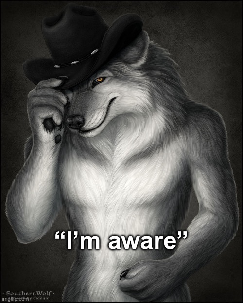 “I’m aware” | image tagged in alpha fedora wolf | made w/ Imgflip meme maker
