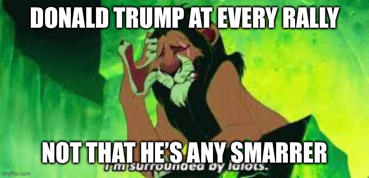 DONALD TRUMP AT EVERY RALLY NOT THAT HE’S ANY SMARTER | image tagged in i'm surrounded by idiots | made w/ Imgflip meme maker