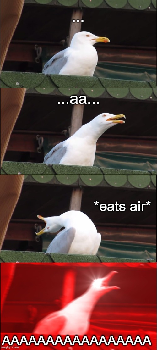 ... ...aa... *eats air* AAAAAAAAAAAAAAAAA | image tagged in memes,inhaling seagull | made w/ Imgflip meme maker