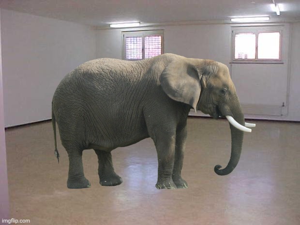 adress him | image tagged in empty room | made w/ Imgflip meme maker