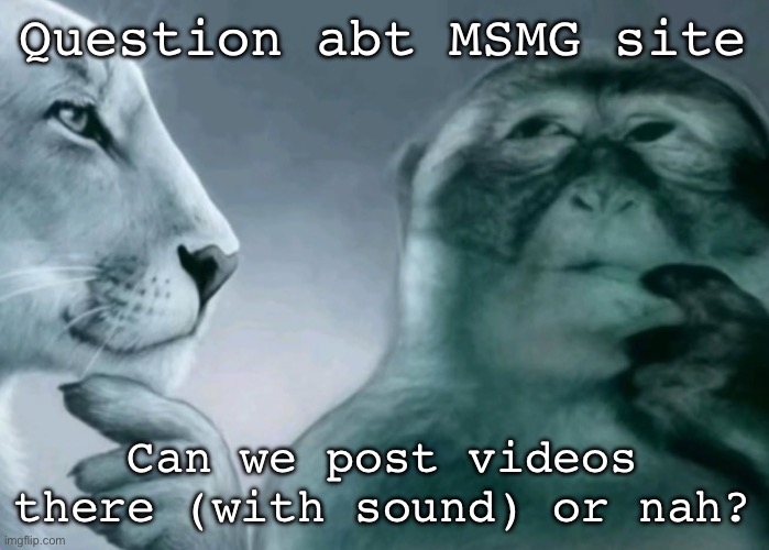 Is this ragebait? | Question abt MSMG site; Can we post videos there (with sound) or nah? | image tagged in is this ragebait | made w/ Imgflip meme maker