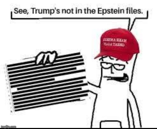 Not in the files | image tagged in donald trump,trump,maga,jeffrey epstein,epstein,nevertrump | made w/ Imgflip meme maker
