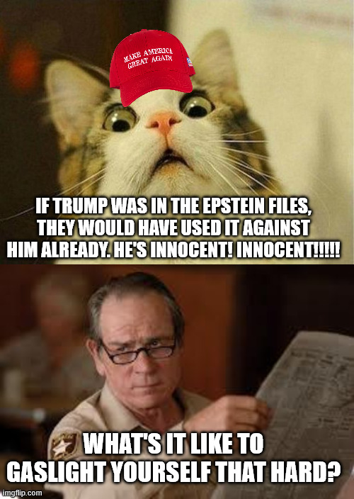 IF TRUMP WAS IN THE EPSTEIN FILES, THEY WOULD HAVE USED IT AGAINST HIM ALREADY. HE'S INNOCENT! INNOCENT!!!!! WHAT'S IT LIKE TO GASLIGHT YOURSELF THAT HARD? | image tagged in memes,scared cat,no country for old men tommy lee jones | made w/ Imgflip meme maker