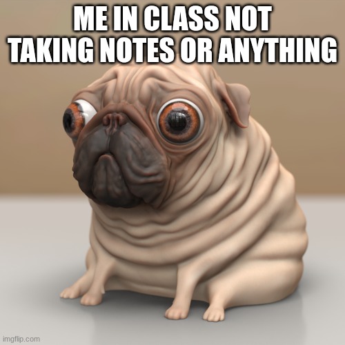 pug | ME IN CLASS NOT TAKING NOTES OR ANYTHING | image tagged in pug | made w/ Imgflip meme maker