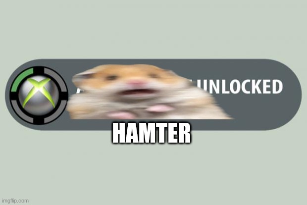 achievement unlocked | HAMTER | image tagged in achievement unlocked | made w/ Imgflip meme maker