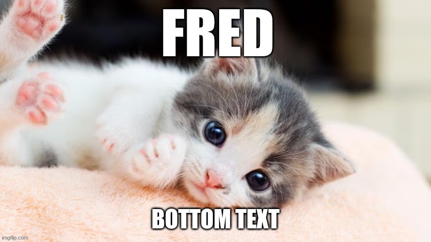 meme I saw in my dream | BOTTOM TEXT | image tagged in funny,random | made w/ Imgflip meme maker