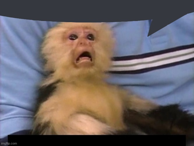 Frightened Monkey | image tagged in frightened monkey | made w/ Imgflip meme maker
