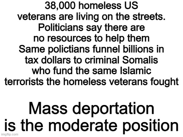 Masa deportations now. | 38,000 homeless US veterans are living on the streets. Politicians say there are no resources to help them
Same polictians funnel billions in tax dollars to criminal Somalis who fund the same Islamic terrorists the homeless veterans fought; Mass deportation is the moderate position | image tagged in memes,funny,politics,political meme,deportation | made w/ Imgflip meme maker