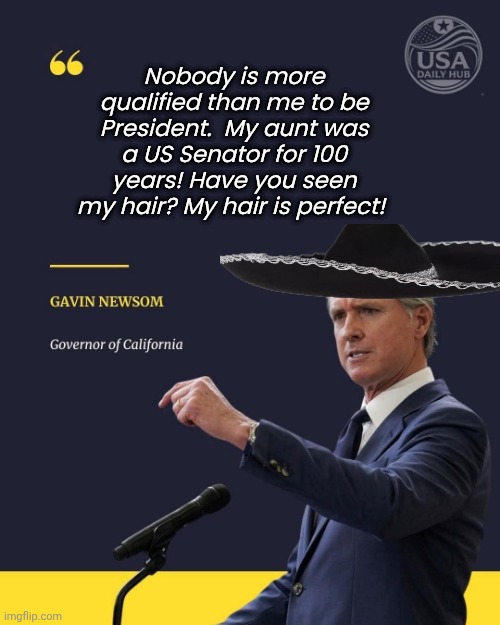 Greasy Gavin touts his qualifications | Nobody is more qualified than me to be President.  My aunt was a US Senator for 100 years! Have you seen my hair? My hair is perfect! | image tagged in grease,gavin,low quality,election 2016 | made w/ Imgflip meme maker