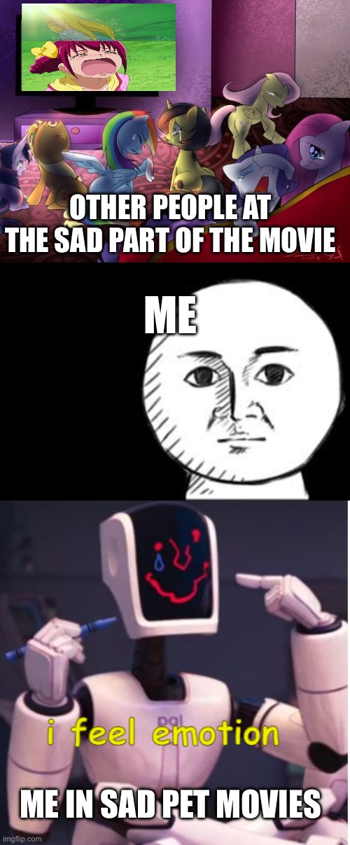 I am deeply broken | OTHER PEOPLE AT THE SAD PART OF THE MOVIE; ME; ME IN SAD PET MOVIES | image tagged in sad movie,straight face,i feel emotion | made w/ Imgflip meme maker