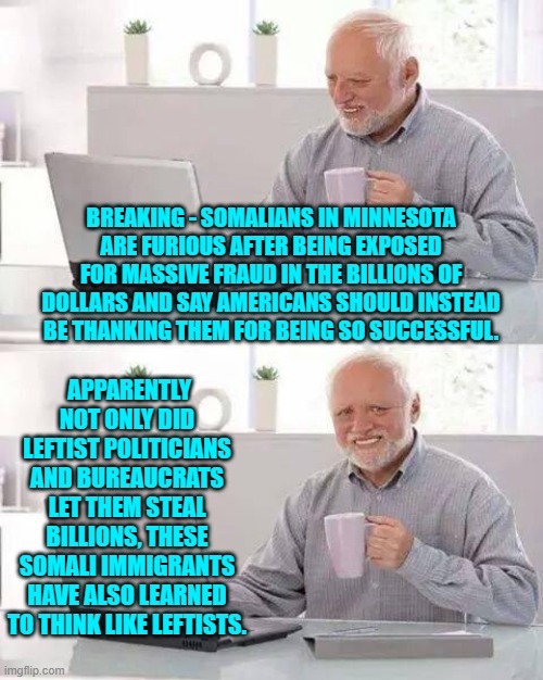 Successful thieves equate to GOOD leftists. | BREAKING - SOMALIANS IN MINNESOTA ARE FURIOUS AFTER BEING EXPOSED FOR MASSIVE FRAUD IN THE BILLIONS OF DOLLARS AND SAY AMERICANS SHOULD INSTEAD BE THANKING THEM FOR BEING SO SUCCESSFUL. APPARENTLY NOT ONLY DID LEFTIST POLITICIANS AND BUREAUCRATS LET THEM STEAL BILLIONS, THESE SOMALI IMMIGRANTS HAVE ALSO LEARNED TO THINK LIKE LEFTISTS. | image tagged in hide the pain harold | made w/ Imgflip meme maker