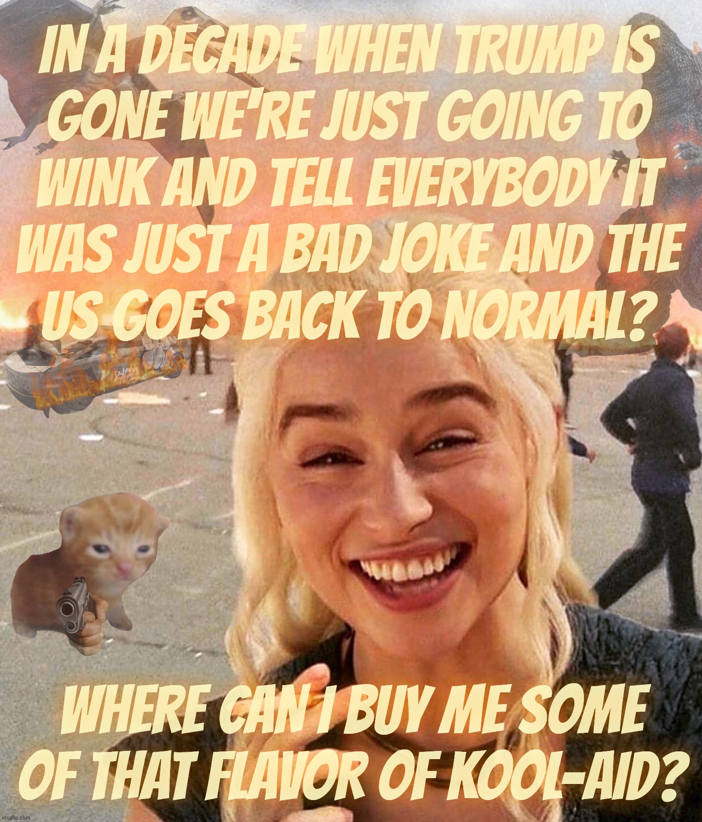 Disaster Smoker Gal kitchen sink edition | IN A DECADE WHEN TRUMP IS
GONE WE'RE JUST GOING TO
WINK AND TELL EVERYBODY IT
WAS JUST A BAD JOKE AND THE
US GOES BACK TO NORMAL? WHERE CAN  | image tagged in disaster smoker gal kitchen sink edition | made w/ Imgflip meme maker