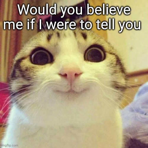 Smiling Cat | Would you believe me if I were to tell you | image tagged in memes,smiling cat | made w/ Imgflip meme maker