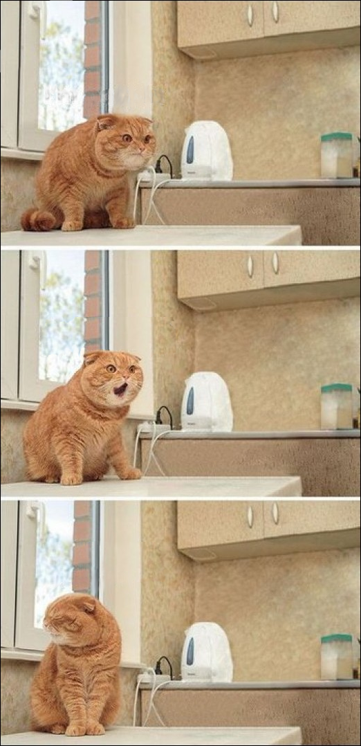 I'm Poopin' - Blank Blank Meme Template