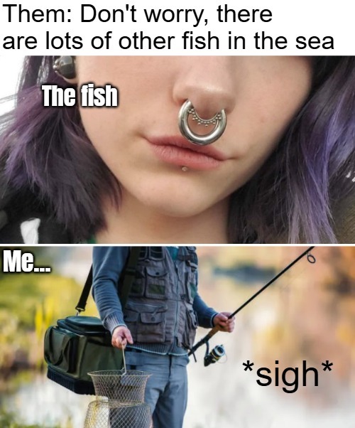 image tagged in funny,memes | made w/ Imgflip meme maker