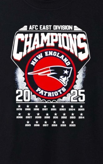 Pats AFC Champs Blank Meme Template