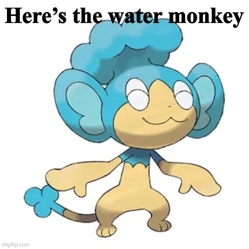 Here’s the water monkey | made w/ Imgflip meme maker