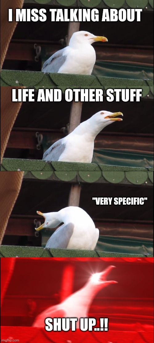 Sincerely me | I MISS TALKING ABOUT; LIFE AND OTHER STUFF; "VERY SPECIFIC"; SHUT UP..!! | image tagged in memes,inhaling seagull | made w/ Imgflip meme maker