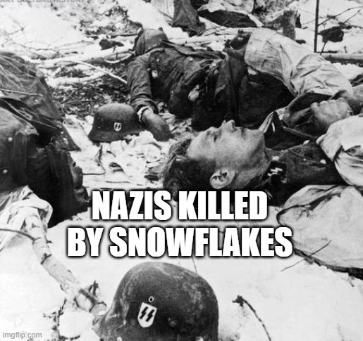 NAZIS KILLED BY SNOWFLAKES | image tagged in dead nazis waffen ss snowflakes jpp | made w/ Imgflip meme maker