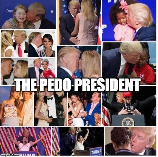 THE PEDO PRESIDENT | image tagged in pedo donald trump sexual predator assault | made w/ Imgflip meme maker