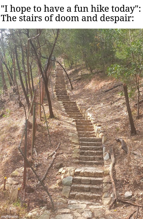 "I hope to have a fun hike today":
The stairs of doom and despair: | made w/ Imgflip meme maker