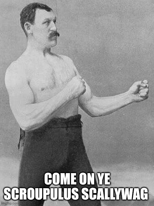 boxer | COME ON YE SCROUPULUS SCALLYWAG | image tagged in boxer | made w/ Imgflip meme maker