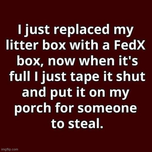 Life Hack--Problem Solved! | image tagged in common sense,solution,modern problems require modern solutions,litter box,porch pirates,problem solved | made w/ Imgflip meme maker