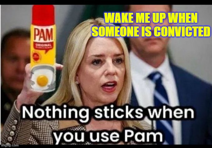 Wake me up when someone is convicted, Pam | WAKE ME UP WHEN SOMEONE IS CONVICTED | image tagged in treason,crime,crooked politicians,pam bondi,trump | made w/ Imgflip meme maker
