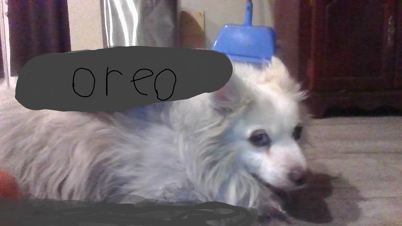 Oreo dog Blank Meme Template