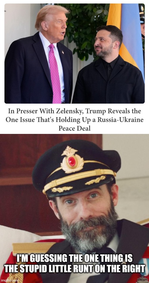 I'M GUESSING THE ONE THING IS THE STUPID LITTLE RUNT ON THE RIGHT | image tagged in captain obvious | made w/ Imgflip meme maker