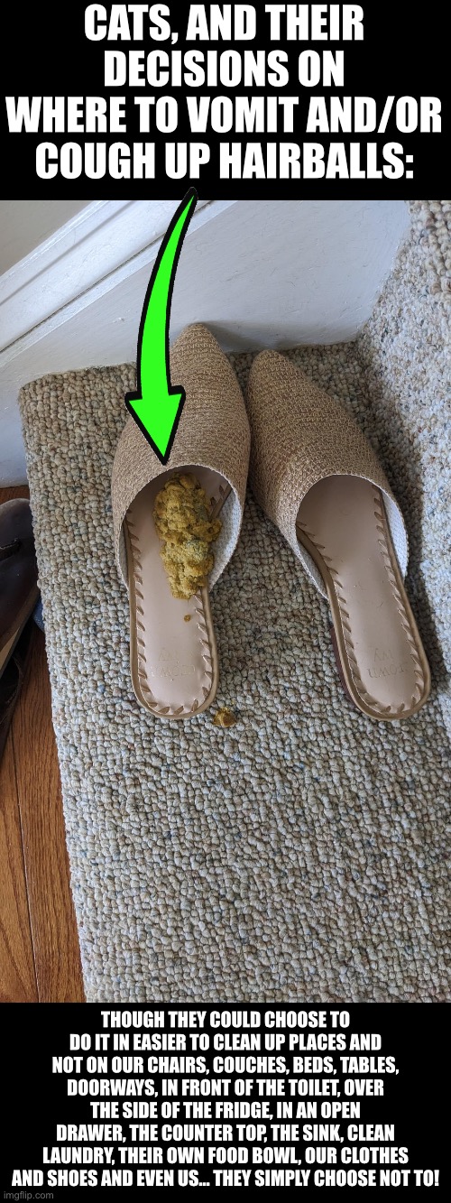 Cat's Vomiting Location Choices Demotivational | CATS, AND THEIR DECISIONS ON WHERE TO VOMIT AND/OR COUGH UP HAIRBALLS:; THOUGH THEY COULD CHOOSE TO DO IT IN EASIER TO CLEAN UP PLACES AND NOT ON OUR CHAIRS, COUCHES, BEDS, TABLES, DOORWAYS, IN FRONT OF THE TOILET, OVER THE SIDE OF THE FRIDGE, IN AN OPEN DRAWER, THE COUNTER TOP, THE SINK, CLEAN LAUNDRY, THEIR OWN FOOD BOWL, OUR CLOTHES AND SHOES AND EVEN US... THEY SIMPLY CHOOSE NOT TO! | image tagged in cats,funny cats,choices,scumbags,vomit,demotivational | made w/ Imgflip meme maker