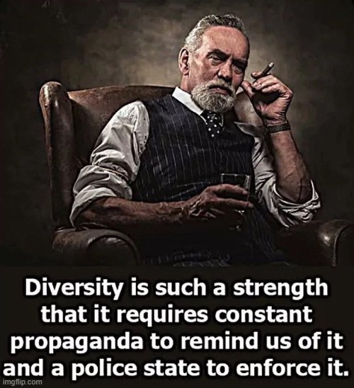 Diversity is weakness b/c it requires constant propaganda to remind us and police to enforce it | image tagged in diversity,propaganda,police,multiculturalism,western culture,society | made w/ Imgflip meme maker