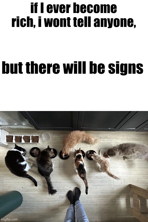 onzcszsnjocnizkjdziu | if I ever become rich, i wont tell anyone, but there will be signs | image tagged in blank white template,meme,cat | made w/ Imgflip meme maker