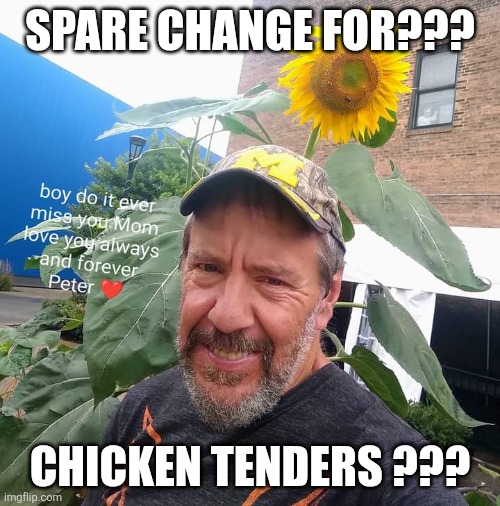 Peter Plant | SPARE CHANGE FOR??? CHICKEN TENDERS ??? | image tagged in peter plant,chicken,chicken wings,homeless,begging | made w/ Imgflip meme maker