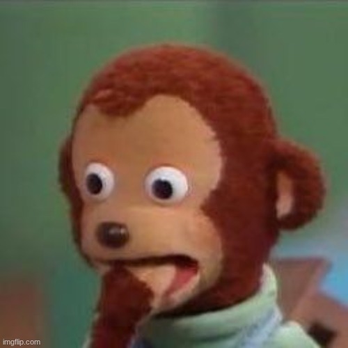 image tagged in shoked monkey | made w/ Imgflip meme maker