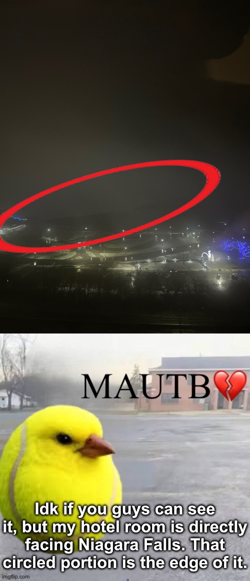 Idk if you guys can see it, but my hotel room is directly facing Niagara Falls. That circled portion is the edge of it. | image tagged in mods asleep upvote tennis bird | made w/ Imgflip meme maker