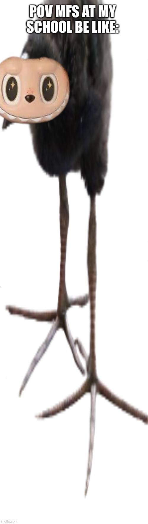 mfs these days       0_0 | POV MFS AT MY SCHOOL BE LIKE: | image tagged in idk what to put here | made w/ Imgflip meme maker