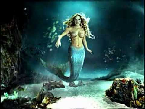 Sora Blank Meme Template