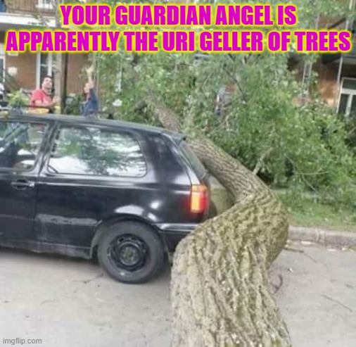 Your guardian angel is apparently the Uri Geller of trees | YOUR GUARDIAN ANGEL IS APPARENTLY THE URI GELLER OF TREES | image tagged in funny,trees,guardian angel,hand of god,uri geller | made w/ Imgflip meme maker
