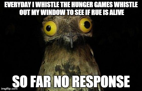 Weird Stuff I Do Potoo Meme | EVERYDAY I WHISTLE THE HUNGER GAMES WHISTLE OUT MY WINDOW TO SEE IF RUE IS ALIVE SO FAR NO RESPONSE | image tagged in memes,weird stuff i do potoo | made w/ Imgflip meme maker