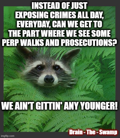 How Long Can They Pile Up? | INSTEAD OF JUST EXPOSING CRIMES ALL DAY, EVERYDAY, CAN WE GET TO THE PART WHERE WE SEE SOME PERP WALKS AND PROSECUTIONS? WE AIN'T GITTIN' ANY YOUNGER! Drain - The - Swamp | image tagged in politics,american politics,justice,dark to light,maga,the great awakening | made w/ Imgflip meme maker