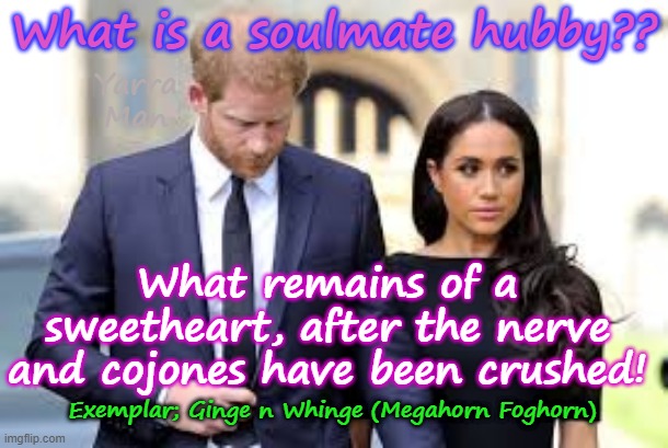 Ever wondered what a soulmate husband would look like? | What is a soulmate hubby?? Yarra Man; What remains of a sweetheart, after the nerve and cojones have been crushed! Exemplar; Ginge n Whinge (Megahorn Foghorn) | image tagged in ginge n whinge,harry n megan,self gratification by proxy,virtue signalling woke,spineless shell,far left | made w/ Imgflip meme maker