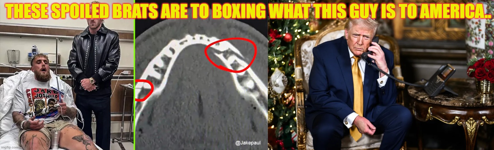 jake | THESE SPOILED BRATS ARE TO BOXING WHAT THIS GUY IS TO AMERICA.. | image tagged in donald trump | made w/ Imgflip meme maker