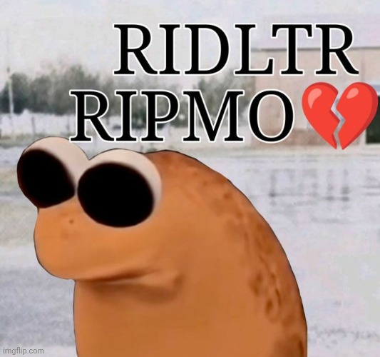 RIDLTRRIPMO | image tagged in ridltrripmo | made w/ Imgflip meme maker