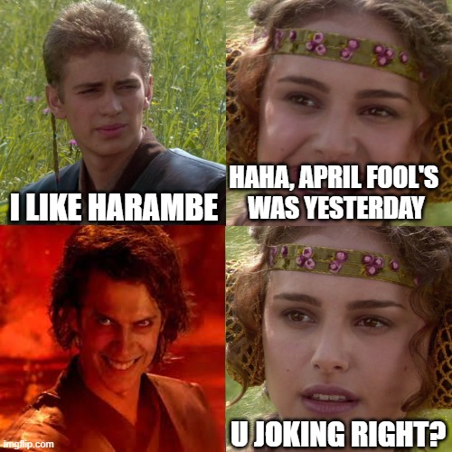 harambe love lol | I LIKE HARAMBE; HAHA, APRIL FOOL'S 
WAS YESTERDAY; U JOKING RIGHT? | image tagged in anakin padme 4 panel,funny,lol so funny,harambe,freaky,funny meme | made w/ Imgflip meme maker