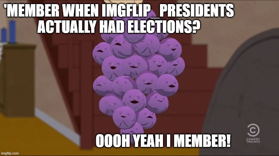 'MEMBER WHEN IMGFLIP_PRESIDENTS ACTUALLY HAD ELECTIONS? OOOH YEAH I MEMBER! | image tagged in memes,member berries | made w/ Imgflip meme maker